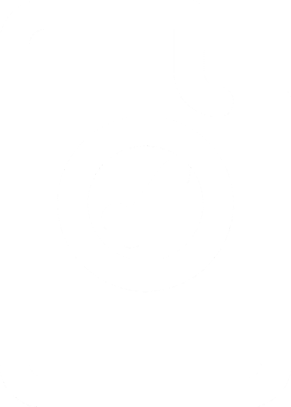 Conferência de Documentos